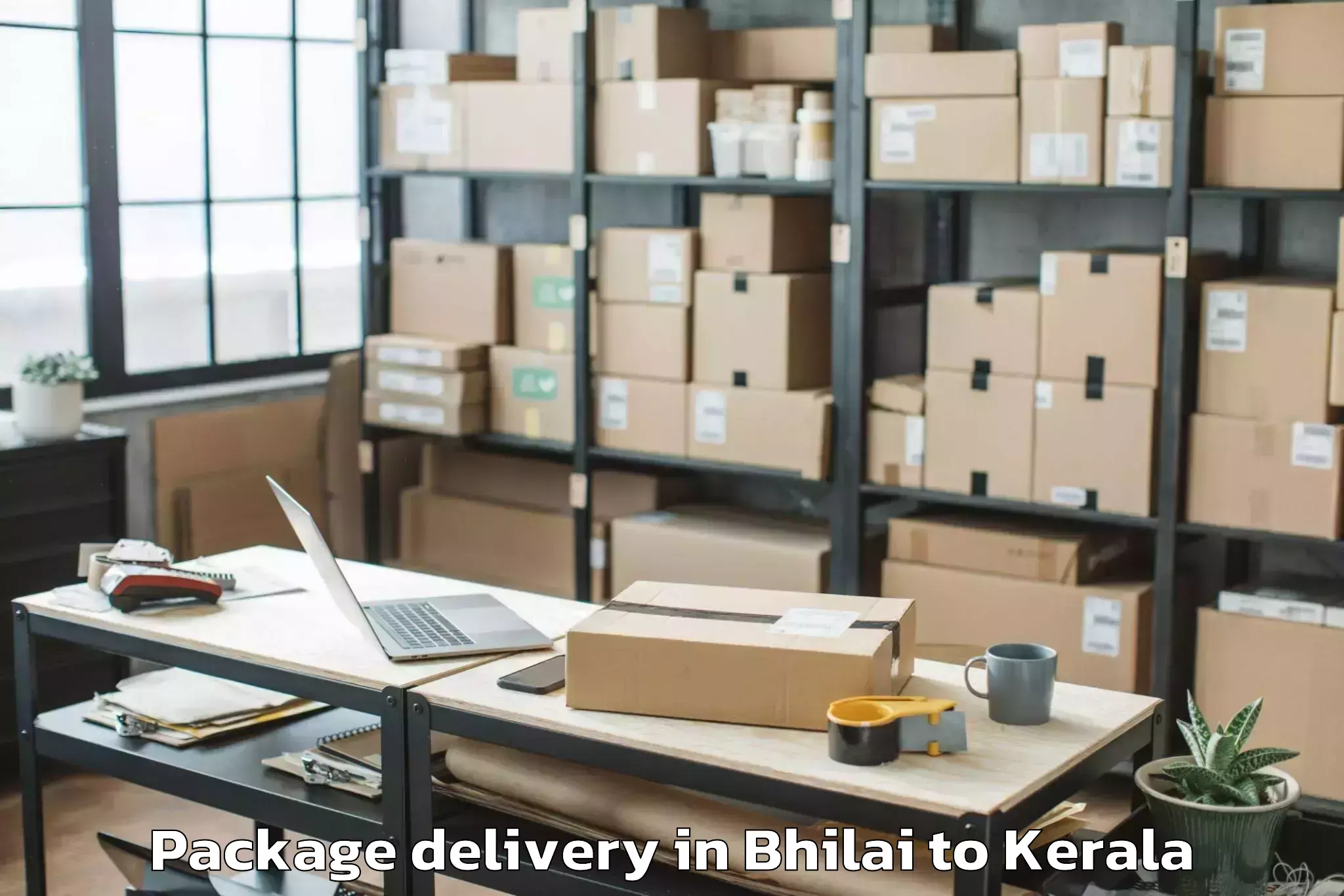 Leading Bhilai to Thunchath Ezhuthachan Malayala Package Delivery Provider